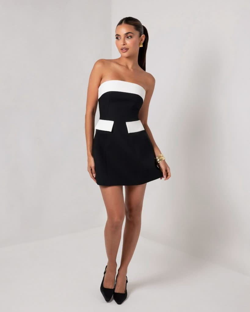 Lavinia Contrast Mini Dress