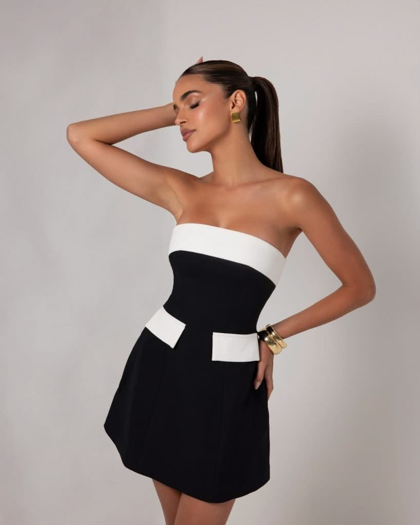 Lavinia Contrast Mini Dress