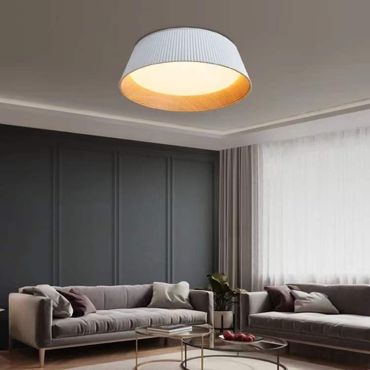 Full Spectrum Bedroom Ceiling Lamp