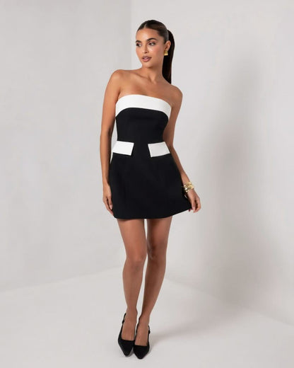 Lavinia Contrast Mini Dress